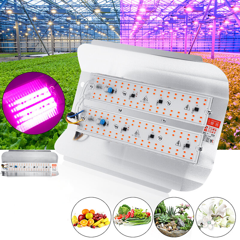 

50 Вт 100 Вт Full Spectrum COB LED Grow Light Veg Растение Цветочный поток Лампа для внутреннего использования AC220V