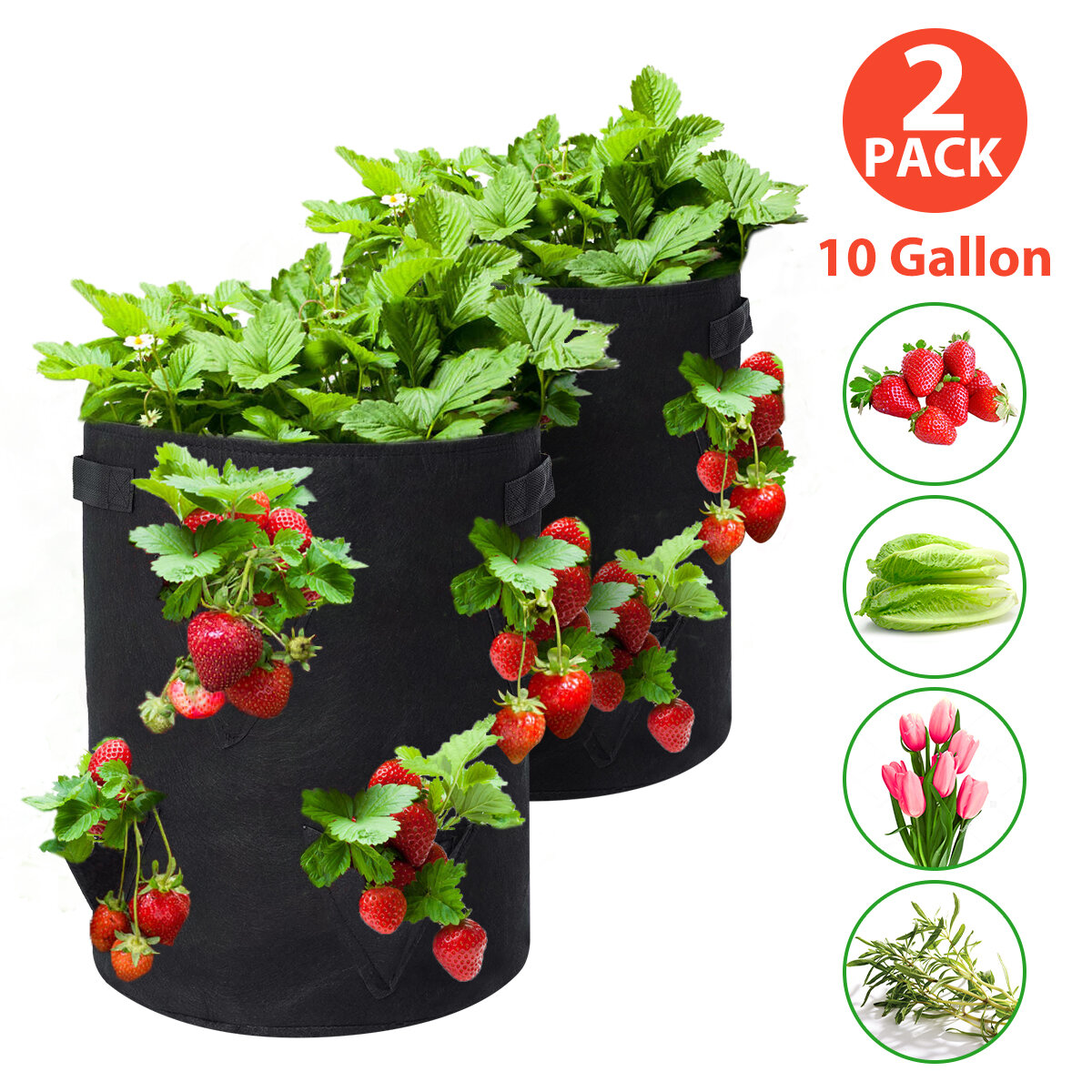 Tvird Strawberry Planting Bags 2 Pack 10 Gallon Planting Pouch Fabric Pots Premium Breathable Cloth Bags