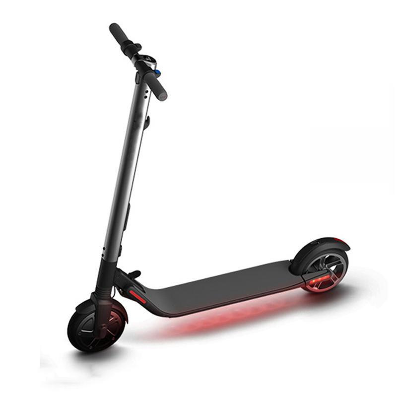 5.2Ah 36V 300W Folding Electric Scooter Vehicle for Adults/Kids 25km/h Max Load 100kg Sports Version E-Scooter