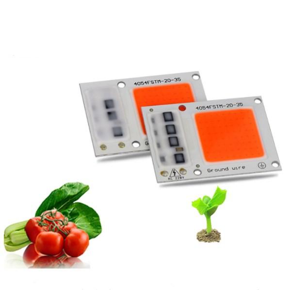 20 W 30 W Volledige Spectrum COB Chip LED Licht Groeien voor Indoor Plantaardige Plant Bloem Zaaien 