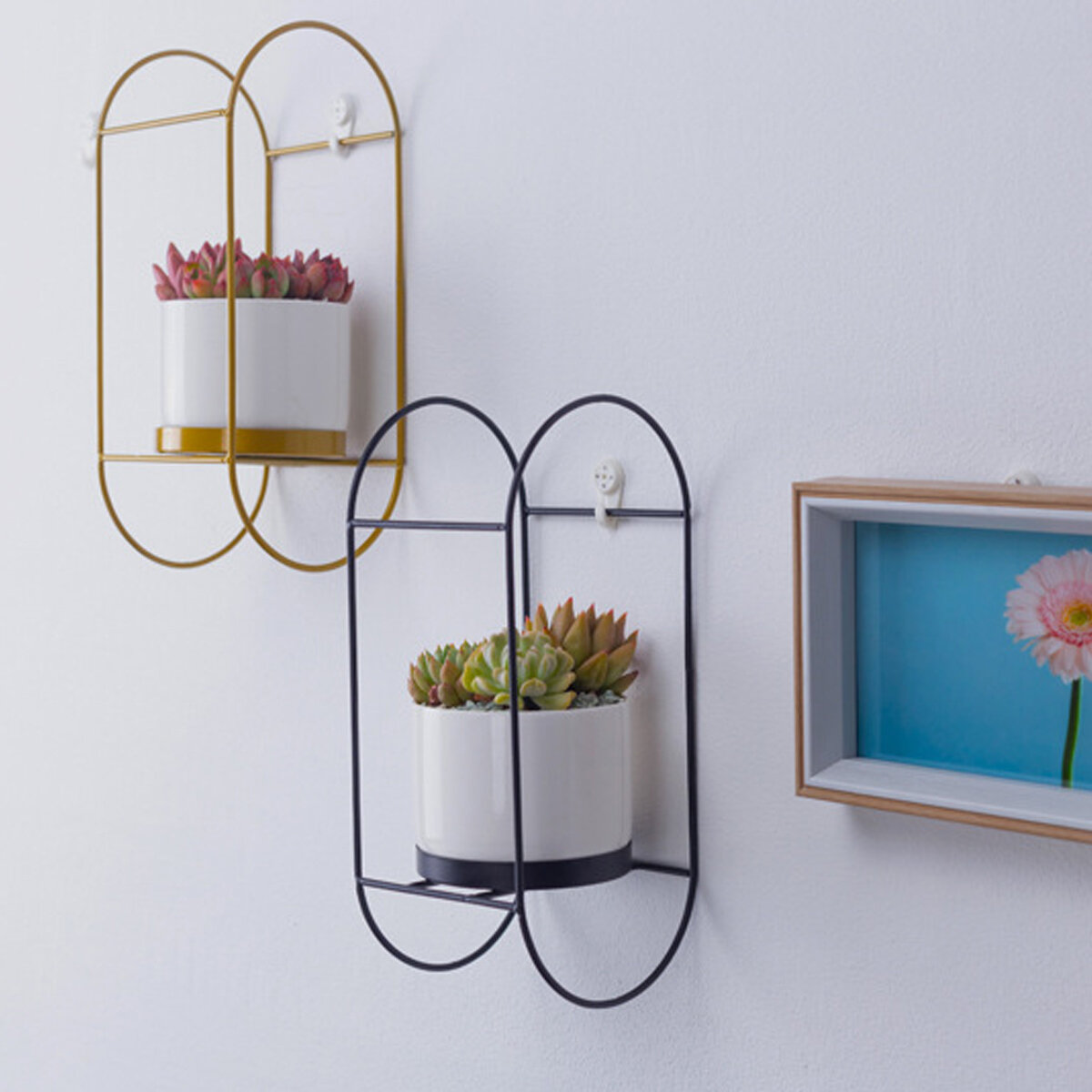 Bakeey Succulente bloempot Eenvoudige wandmontage Ovaal ijzeren frame Ronde combinatie Keramische bl