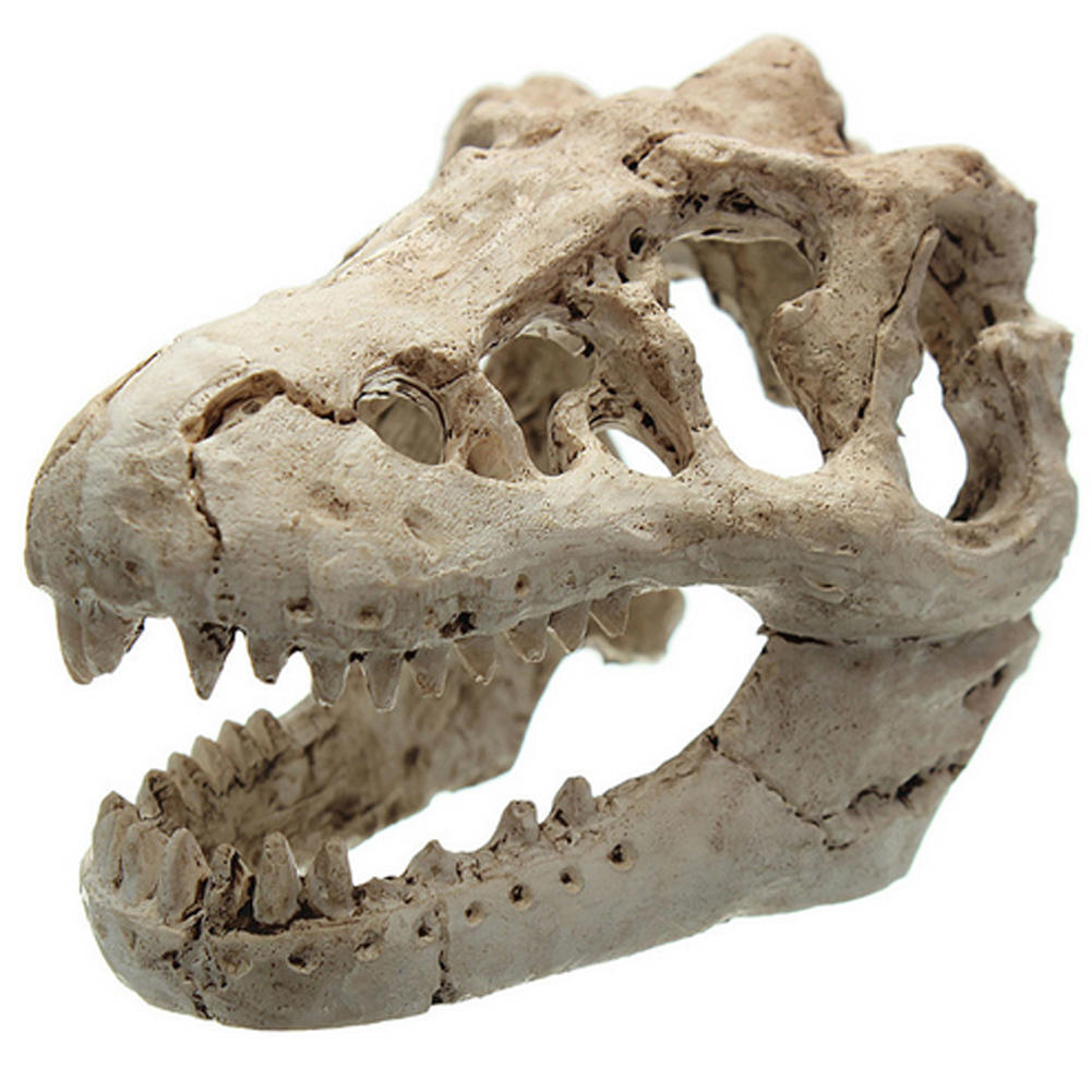 Dragon Resin Aquarium Decoration Crocodile Skull For Fish Tank Resin Ornament
