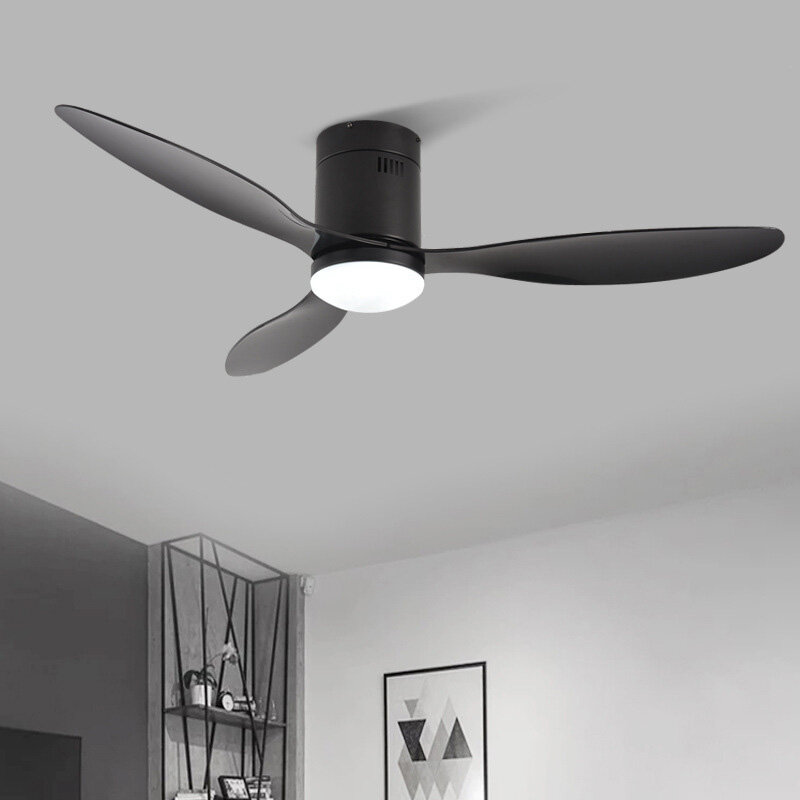 220V 42/52 Inch Decorative DC Ceiling Fan with Remote Control Simple Fan Light Ventilador for Living