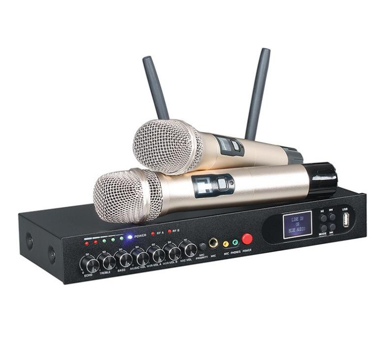 UHF Draadloos microfoonsysteem Dubbele handheld karaokemicrofoon met 2 handheld microfoons voor thui