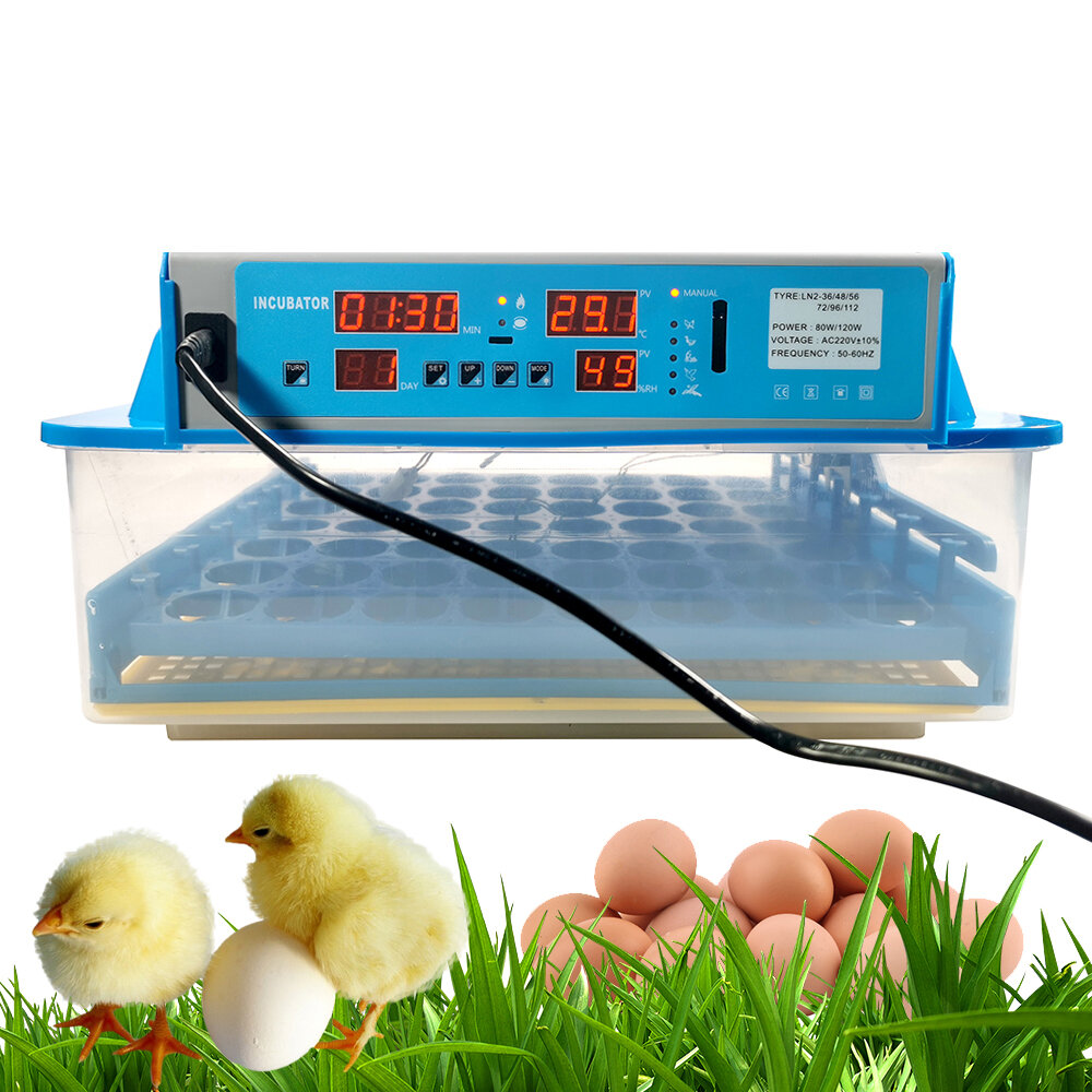 

Mini Automatic Egg Incubator intelligent Turning Temperature Control for Poultry