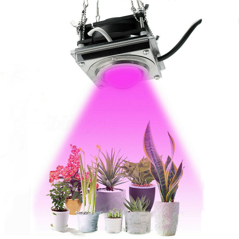 

Эгроу 300W Растение Рост Лампа COB Full Spectrum Растение Заливка Светлый Садоводческий цветок Сочная окраска DIY LED Мо