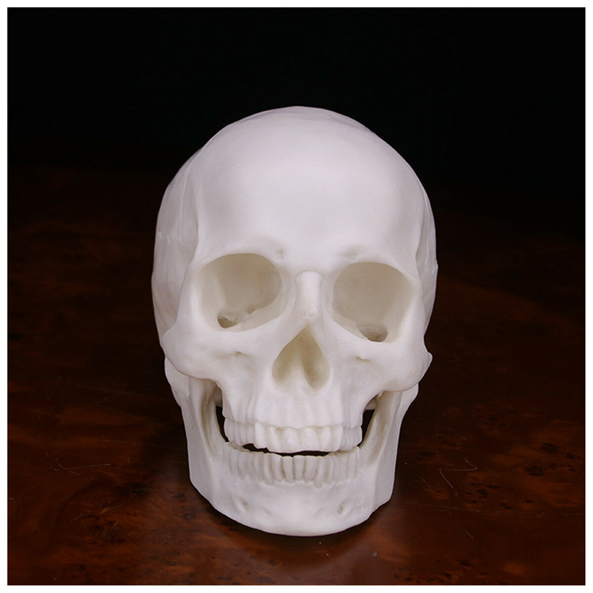 Human Skull Handmade Decoration Goth Halloween Decor Gift Souvenirs Ornament