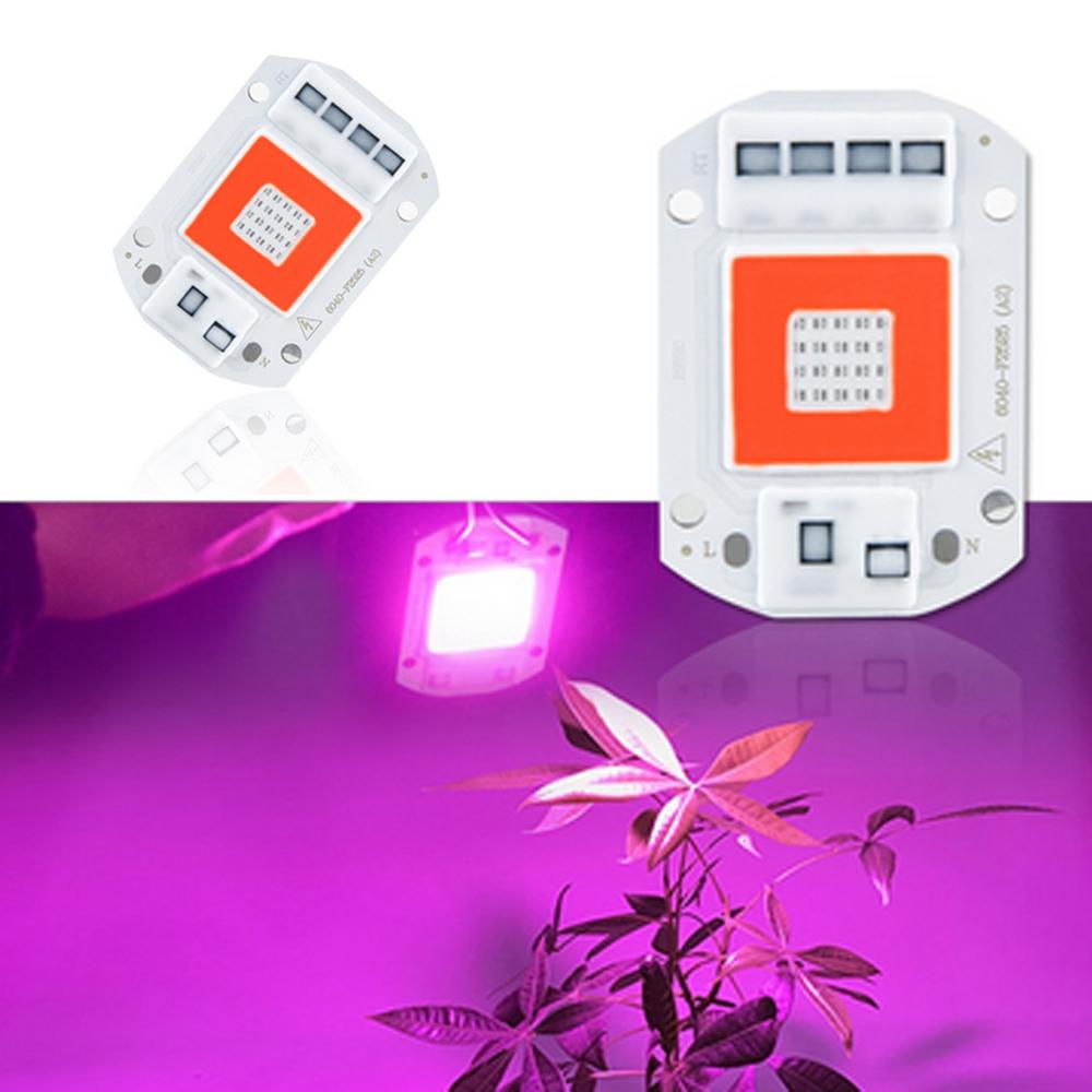 AC110V / AC220V 20W 30W 50W كامل الطيف الأحمر والأزرق LED تنمو ضوء رقاقة لزهور النباتات الداخلية