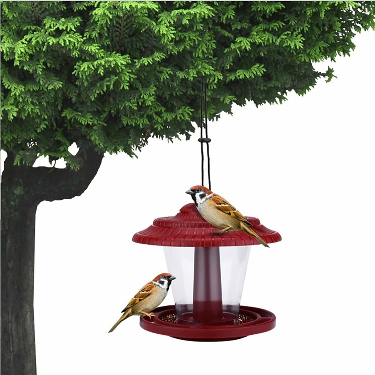 透明な防水吊り鳥フィーダー屋外バルコニー、給餌ツール用 от Banggood WW