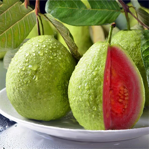 Image result for guava,nari