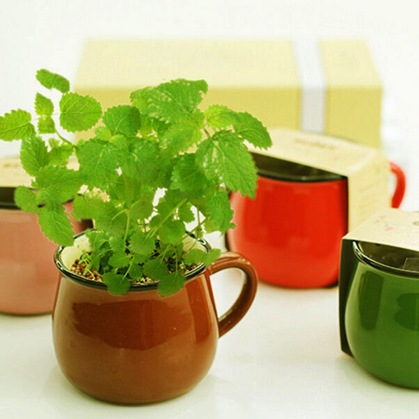 Keramiek DIY Mini Koffie Kopje Potplanten Kantoor Bureaublad Installatie Decor