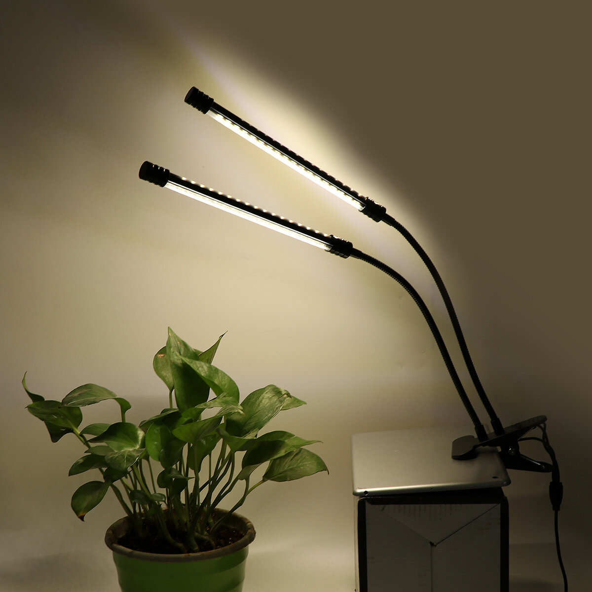 LED-groeilicht Plant Groeiende lampverlichting met clip voor kamerplanten