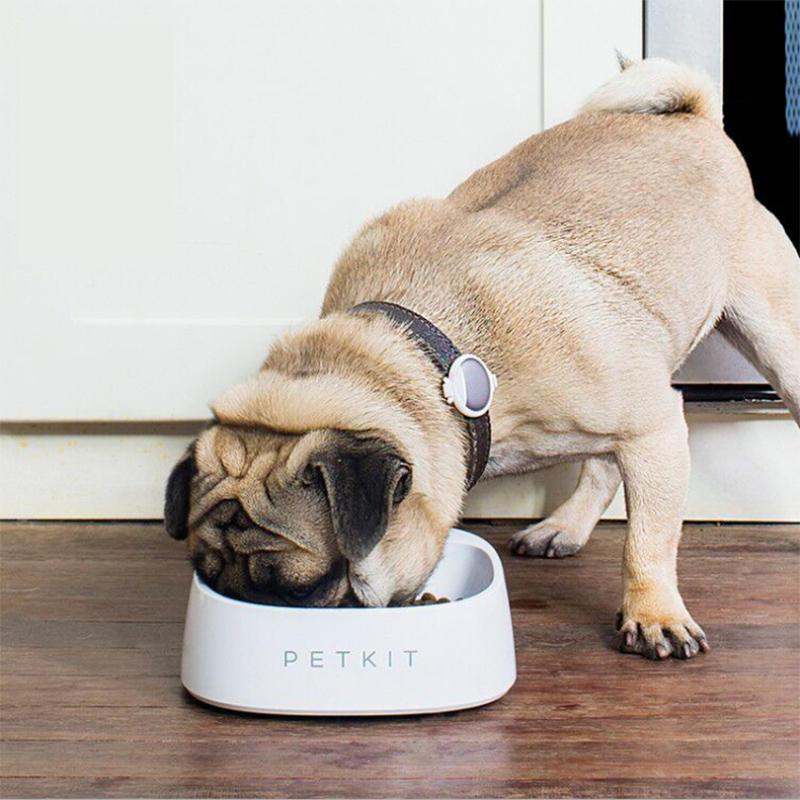 PETKIT Pet Smart Pet Fedding Bowl Automatic Weighing Food Dog Food Bowl Digital Feeding Bowl Stand Dog Feeder Drinking B