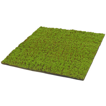 synthetic grass faux artificial moss linchen turf plant lawn patio ...